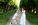 Surprise proposal at Niagara Falls Botanical Gardens surrounded by lush greenery and garden pathways.