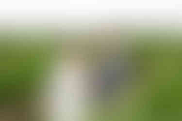 Romantic bride and groom portrait at Bella Terra winery wedding