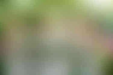 intimate Stonewall Estates wedding in the Niagara Region