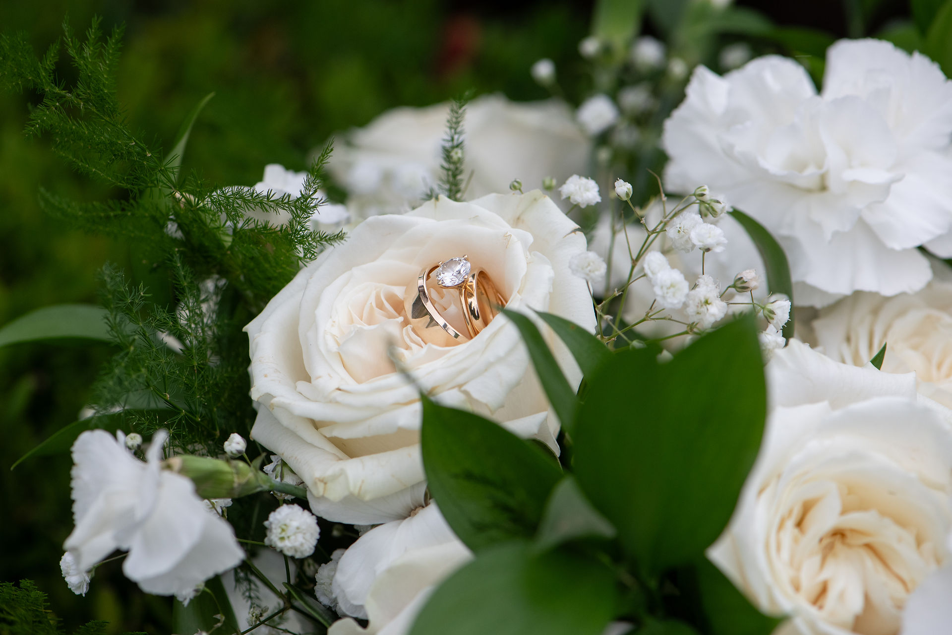 Niagara wedding photographer capturing rose garden ceremony at Pillar and Post in Niagara-on-the-Lake
