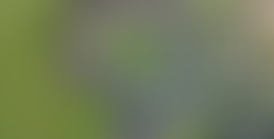 🏡 Calgary Housing Market: Prices Cooling and Value Rising