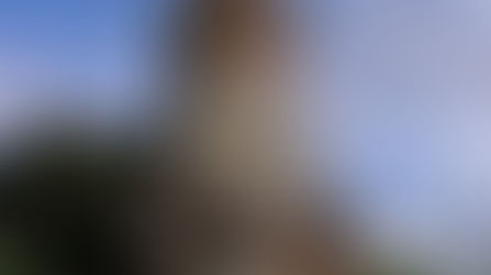 Приближается 3 Марта – День победного окончания Освободительной русско-турецкой войны 1877-78 гг. и