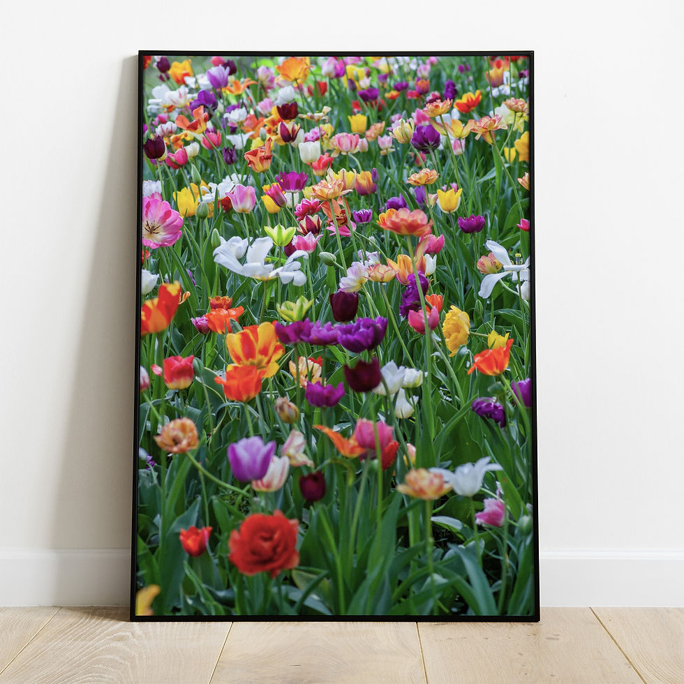 Quadro Botânico 006 - composição completa em ambiente decorado