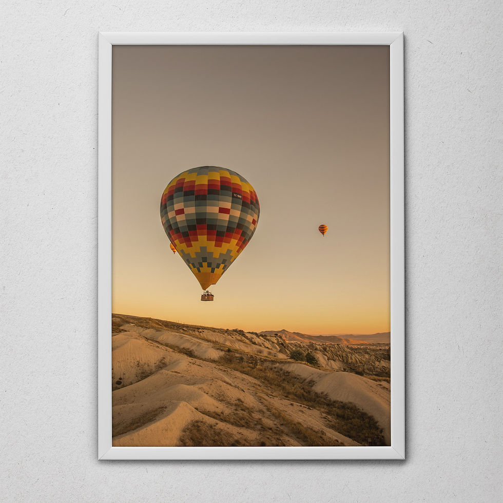 quadro voo ao entardecer