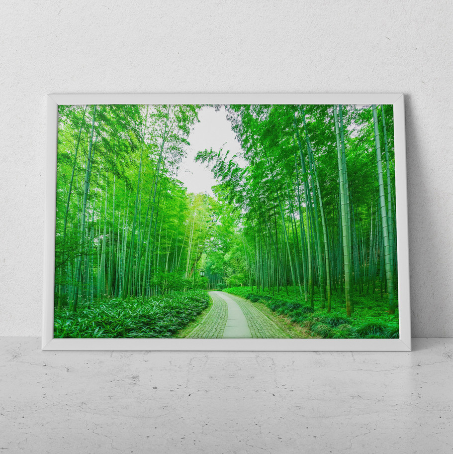 quadro Caminho do Bambu