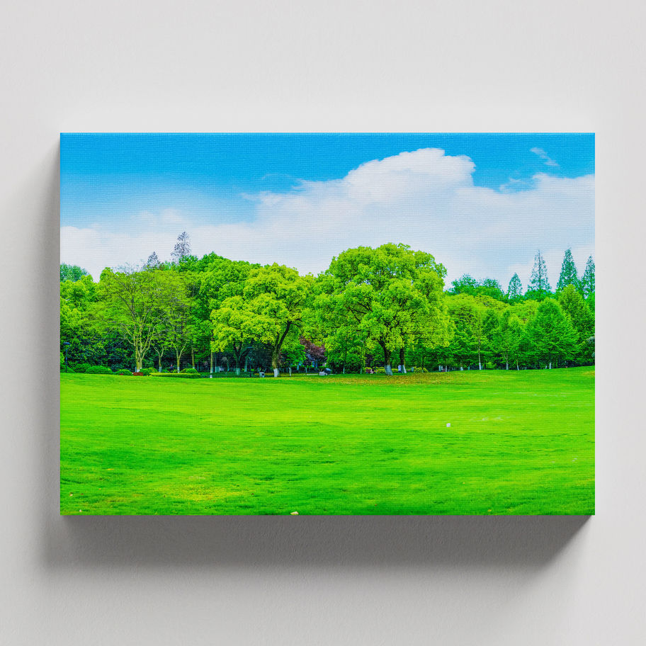 quadro Horizonte Verde