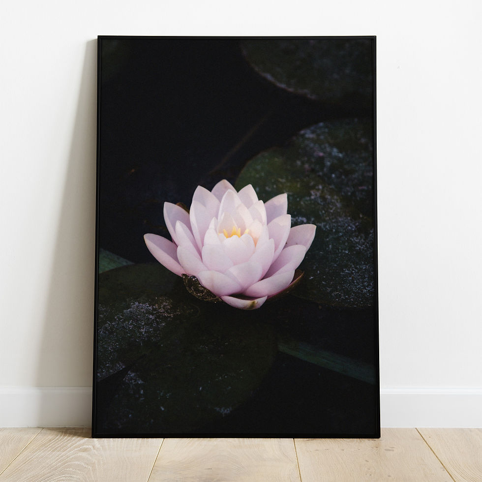 Quadro Botânico 040 - composição completa em ambiente decorado