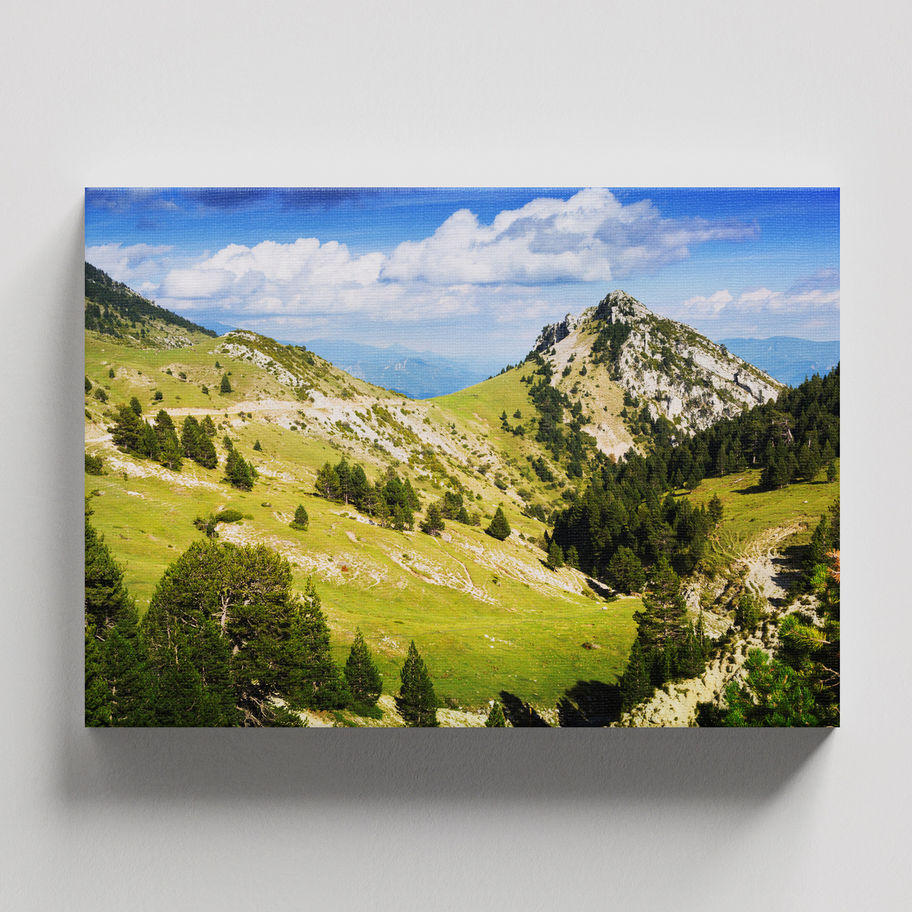 Quadro Natureza 28 - vista lateral da moldura