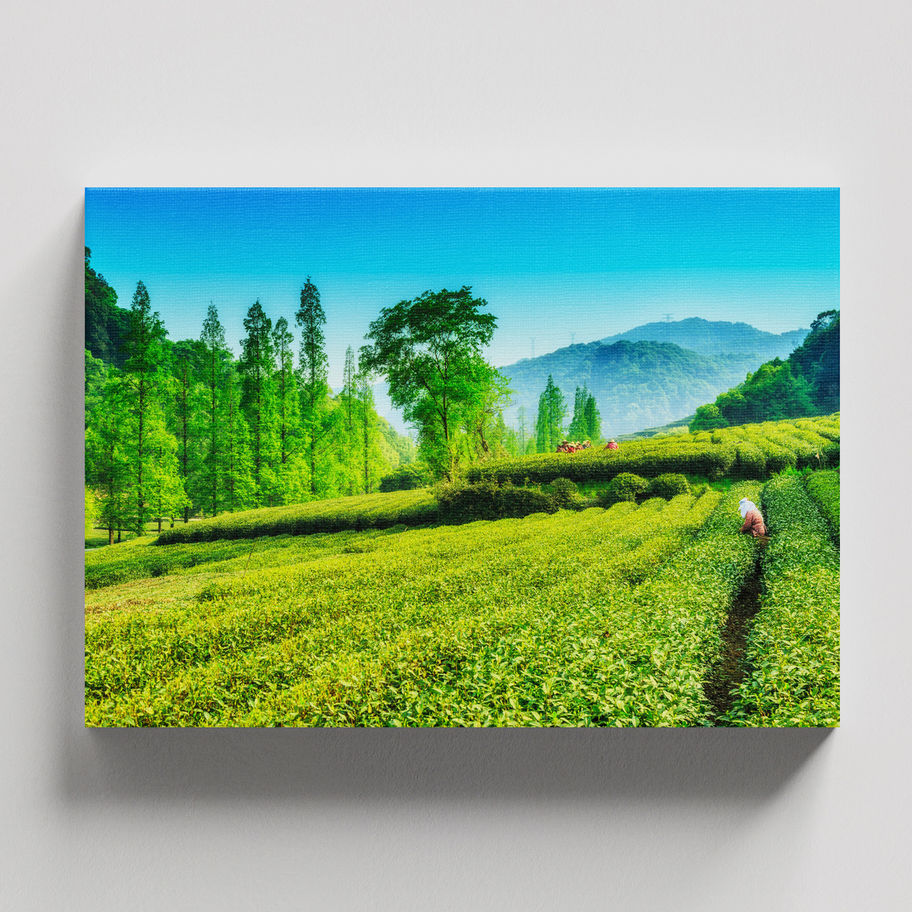 quadro Colheita Verdejante