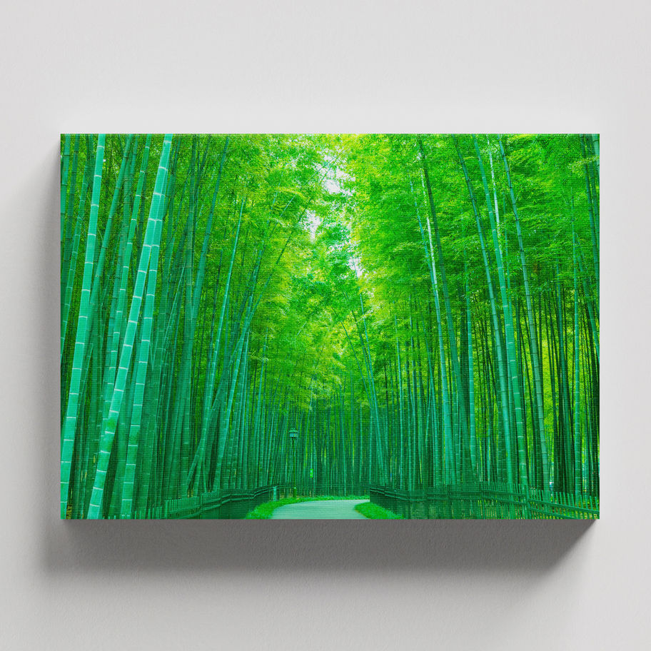 quadro Caminho do Bosque Verde
