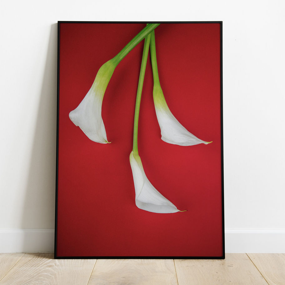 Quadro Botânico 011 - composição completa em ambiente decorado