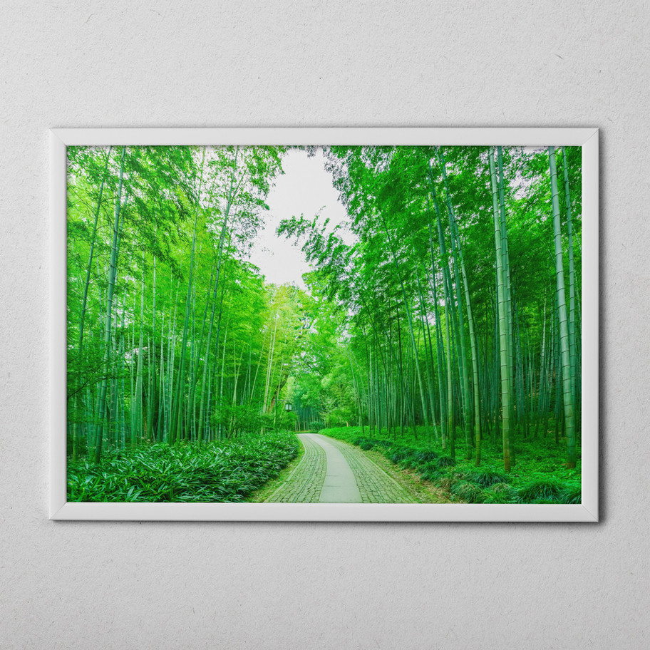 quadro Caminho do Bambu