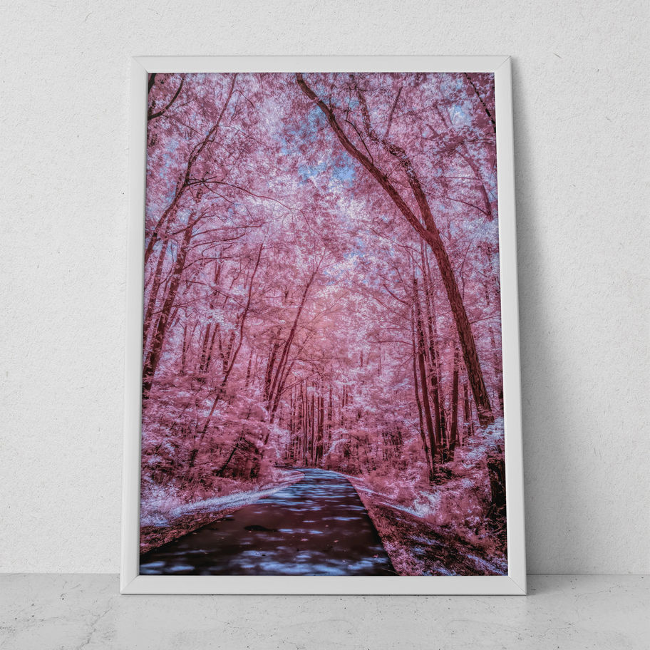 quadro Caminho Encantado Rosa