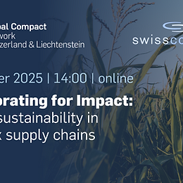 Collaborating for Impact:  Driving sustainability in complex supply chains