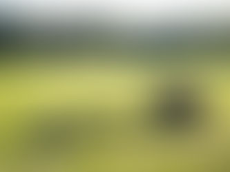 HIIT: The next season challenge