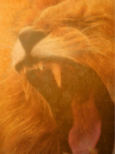 Lion Themed Lined Journal Notebook
HARDCOVER: $17.99
PAPERBACK: $10.00

Lion Themed Lined Journal Notebook with 298 Pages Daily Journals for Men Women Writing,Business,Travel,Note Taking,Paperback Notebooks for Work,School,College Ruled, 6" x 9" Hardcover – September 19, 2023

ABOUT THIS ITEM:
* CLASSIC NOTEBOOK WITH A TWIST: A unique and creative Notebook with a Lion Theme. Writing journals are available in a range of fashionable themes that can be utilized by men and women.
* INSPIRING TO WRITE IN: 298 Lion Themed and Lined Pages
* CONVENIENT SIZE: The 6”x9” dimensions can easily fit into your laptop bag, briefcase, or medium to large bag or backpack.
* WE UNDERSTAND THAT JOURNALS RECORD TO THE MOST IMPORTANT HAPPENINGS: Enjoy using the Date, and Title lines to differentiate your note sections. This will help capture the most important information for your future reference.
