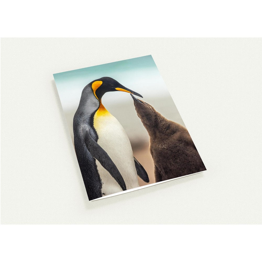 King Penguin Pack of 10 Greeting Cards (EU & RoW)