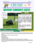 June 2026 Newsletter Page 1
