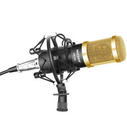 Microphone