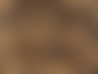 Pourquoi Adopter la Permaculture?