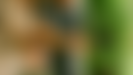 🌱 Tour à Jardin : ton jardin intérieur bio, simple et productif toute l’année