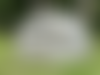 Une grosse pierre : l'élément clé pour une entrée de cour spectaculaire