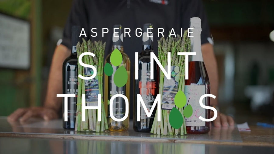 Aspergeraie Saint-Thomas.jpg