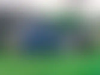 Au Cœur de la Forêt Efficace : Tout Savoir sur le Processeur à Bois