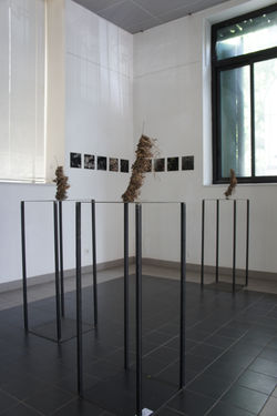 Thierry AZAM,  Inondation, Ready-made, 2010 (5)