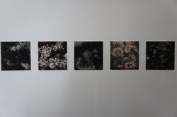 Thierry AZAM,  La vie des morts, 2015 (3)