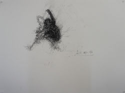 DSC00214