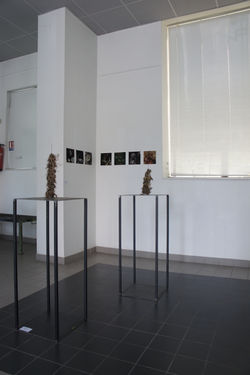 Thierry AZAM,  Inondation, Ready-made, 2010 (7)