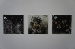 Thierry AZAM,  La vie des morts, 2015 (1)