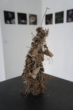 Thierry AZAM,  Inondation, Ready-made, 2010 (4)