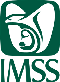 Sanera_Proyectos_IMSS