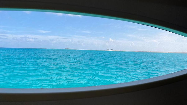 WhatsApp Image 2023-12-11 à 13.21_edited.jpg