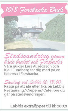 10sug_Stadsvandring_liten_edited.png