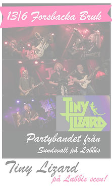 Tiny Lizzard_edited.jpg