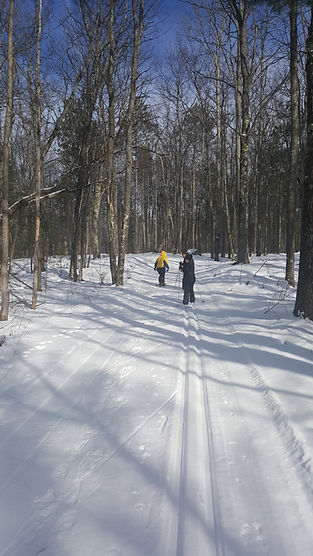 Cross country skiing trails