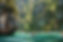 DSCF7733.jpg