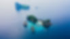 DJI_0306.jpg
