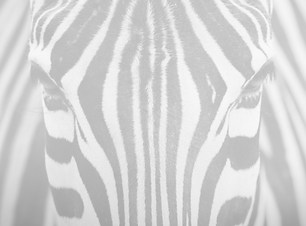 Real & Raw (6).png