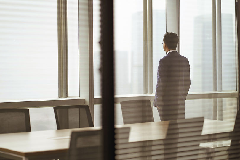 Business Person Looking Out Window_edited.jpg