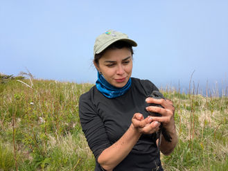 Un pensamiento silvestre