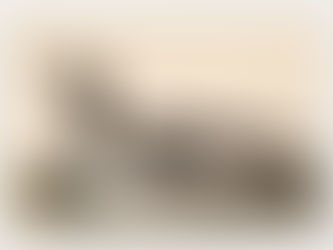 ¿Por qué se extinguió el alca gigante?