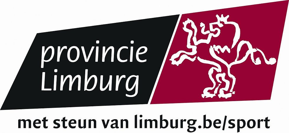 logo_Limburg-versie_2.jpg