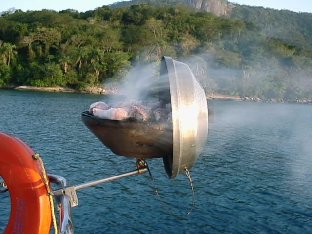 Blue Lagoon BBQ.jpg