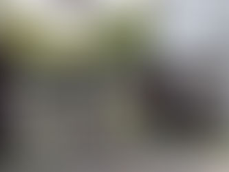 私たちのこだわりが詰まった1日1組限定のプライベートキャンプ場で、最高の時間を過ごしませんか?