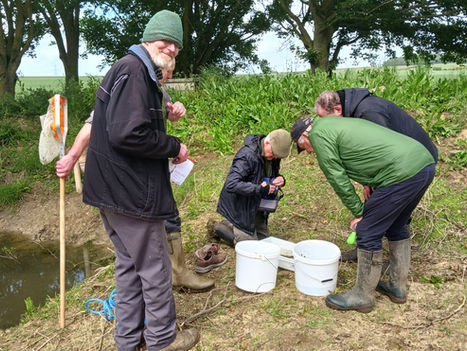 Commitment to nature monitoring yields results