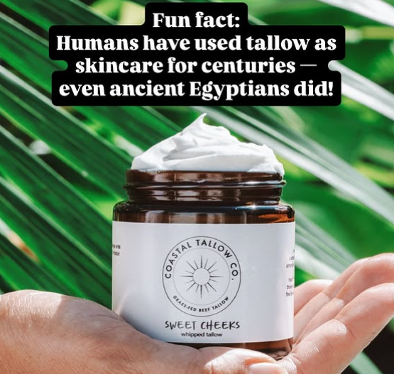 Coastal Tallow Co Sweet Cheeks Face Tallow